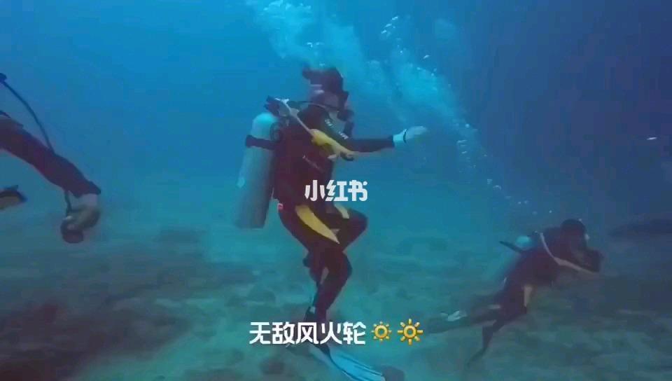 中手游获颁2023金钻榜“广东游戏企业20强”、“社会责任奖”两项大奖